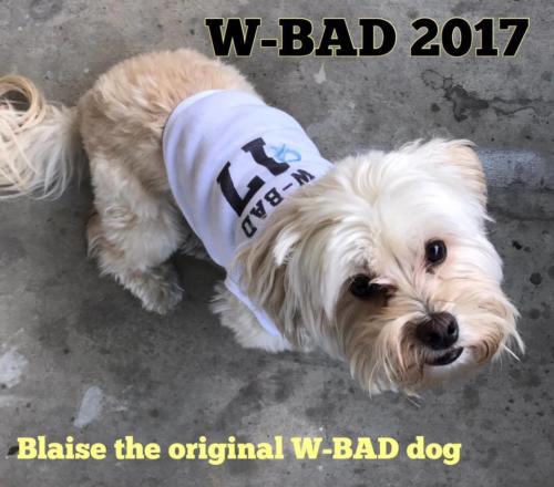 2017 - Blaise, Meredith's (W-BAD admin) fur baby - inaugural W-BAD dog! 1